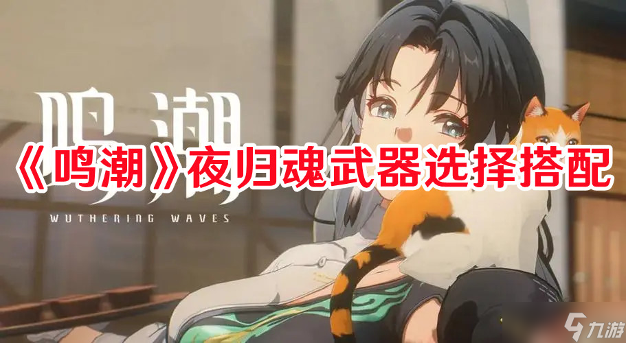 《鸣潮》夜归魂武器选择搭配
