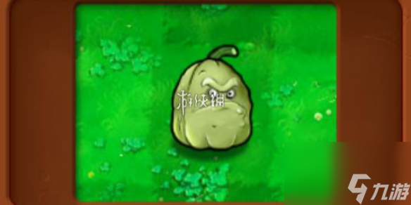 植物大战僵尸杂交版窝瓜坚果属性介绍