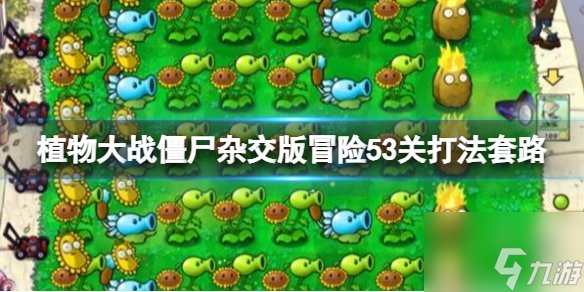 植物大战僵尸杂交版冒险模式53关打法 pvz杂交版53关怎么过