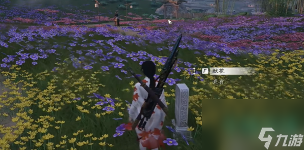 《燕云十六声》花海无颜奇遇攻略