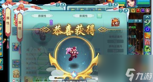 《神武》游戏普陀孩子血宠的可行性分析（探讨游戏中普陀孩子血宠的实施效果及其潜在问题）