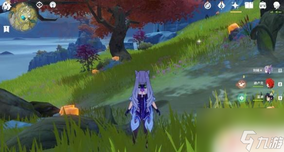 原神石珀在哪里得到 石珀分布地点在哪里