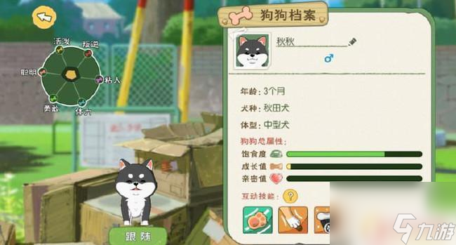 小森生活如何提高狗狗亲密度 小森生活狗狗亲密度上限突破