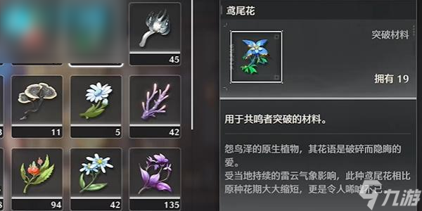 鸣潮第二索拉谷地的花海攻略