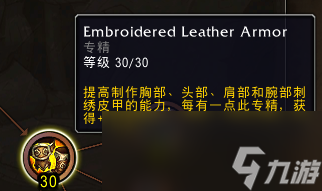 魔兽世界11.0制皮专精技能介绍