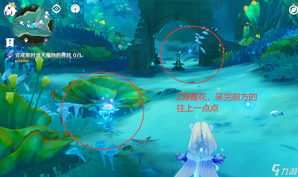 【原神】V4.7攻略 | 希格雯突破材料 | 海露花采集（水下部分）