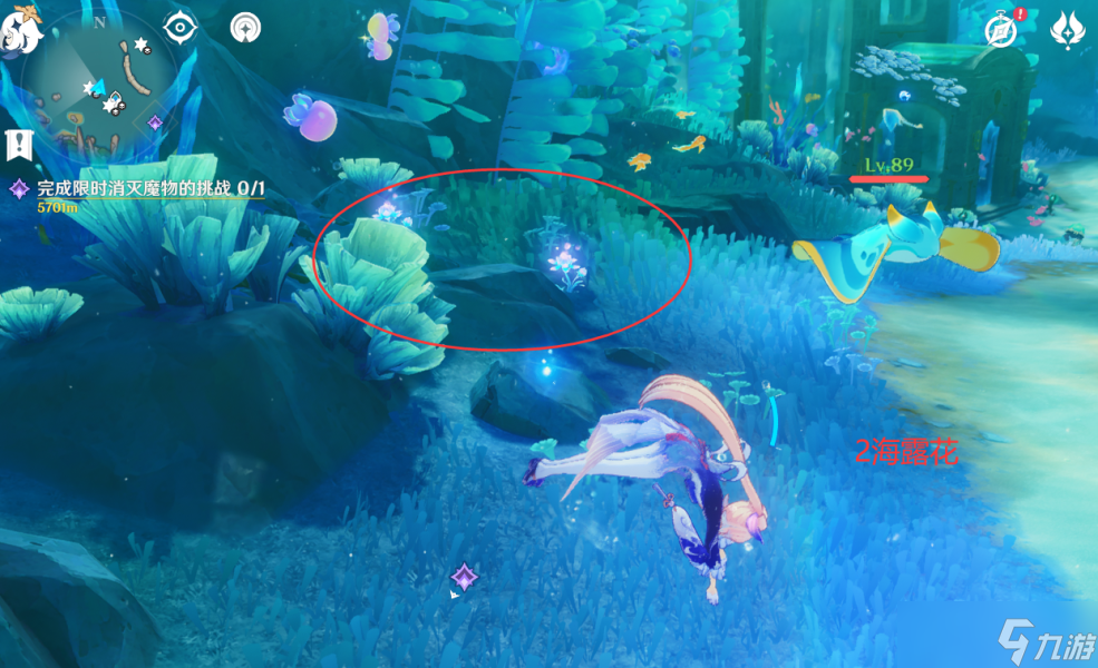 【原神】V4.7攻略 | 希格雯突破材料 | 海露花采集（水下部分）