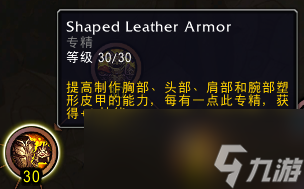 魔兽世界11.0制皮专精技能介绍
