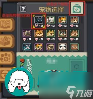 元气骑士前传宠物亲密度选择什么好-宠物亲密度提升攻略