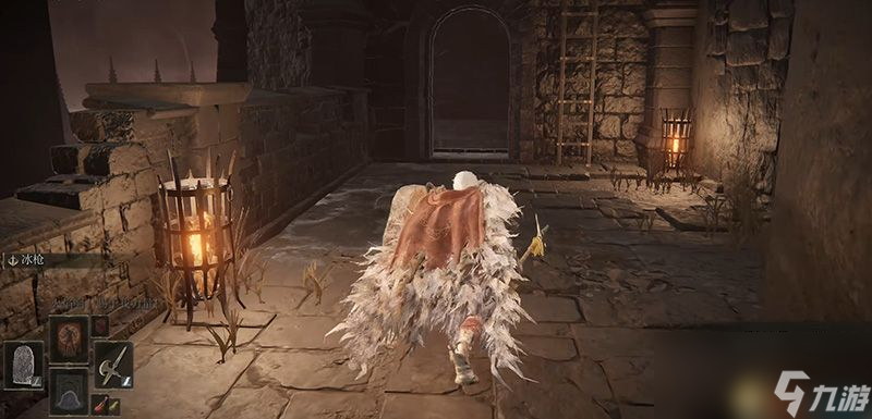 《艾尔登法环》dlc幽影城攻略 物种保藏库走法+boss打法+物品收集
