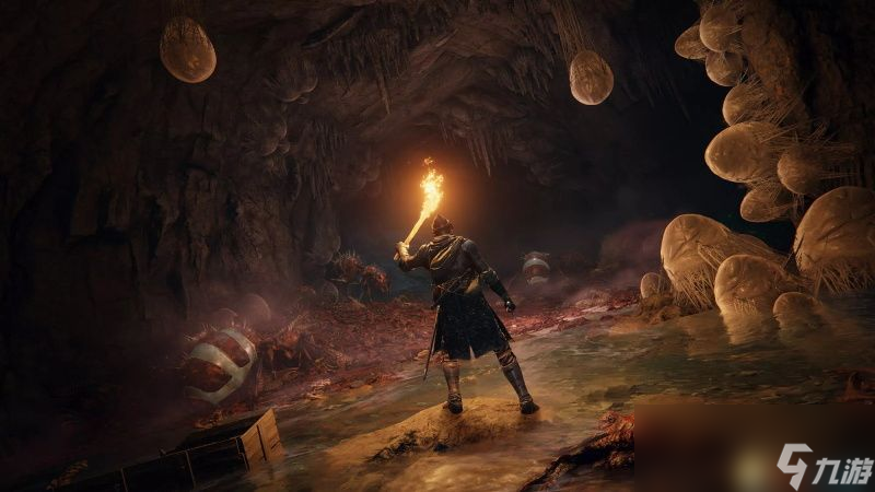 《艾尔登法环》dlc全魔法祷告收集攻略 魔法祷告效果一览