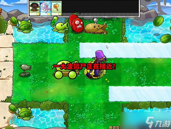 植物大戰(zhàn)僵尸雜交版魅惑毀滅菇3通關攻略