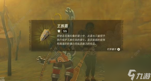 塞爾達(dá)傳說(shuō)王國(guó)之淚王族盾怎么得王族盾刷取位置詳解