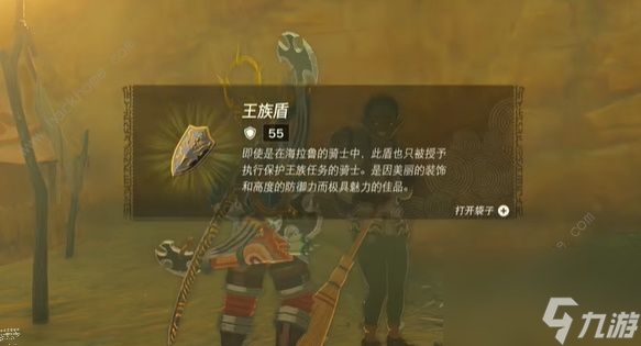 塞爾達(dá)傳說(shuō)王國(guó)之淚王族盾怎么得王族盾刷取位置詳解