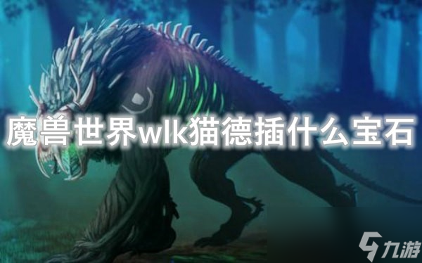 魔兽世界wlk猫德插什么宝石