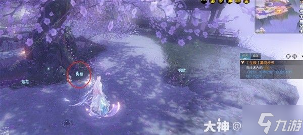 逆水寒叶问舟生辰同游怎么做 叶问舟生辰同游奇遇任务通关攻略