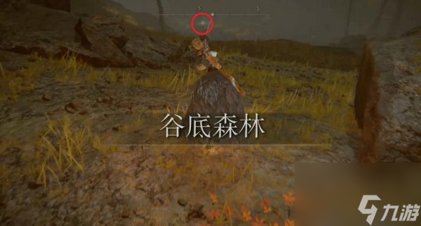 艾尔登法环谷底地图碎片怎么获得 dlc谷底地图碎片获取攻略