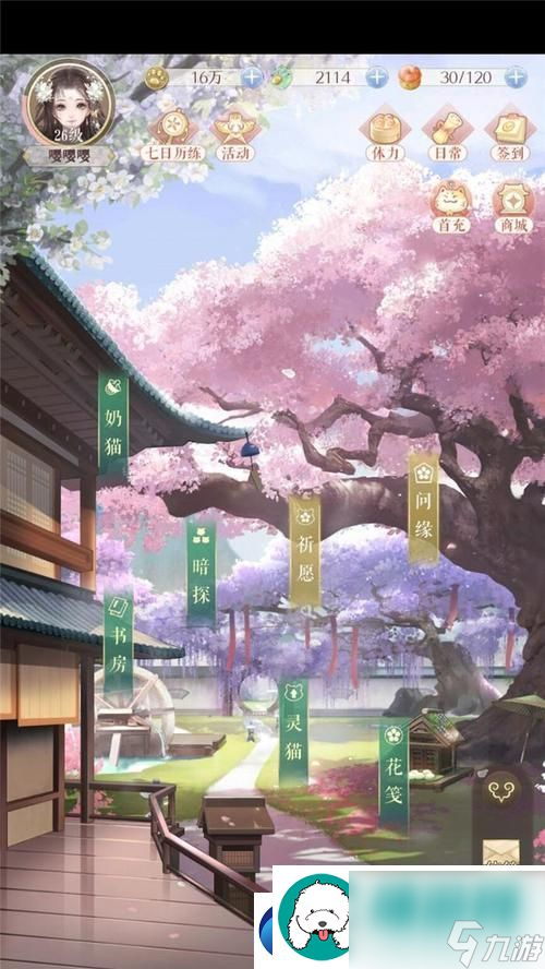 灵猫传 探秘灵猫传游戏中的猫咪品种截图