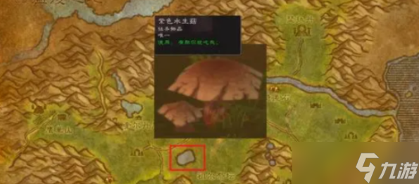 魔兽世界加基森变身药水怎么获得