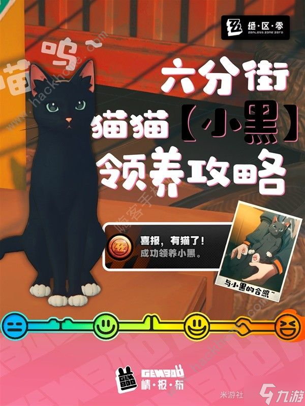 绝区零小黑猫猫怎么领养 六分街小黑猫收养攻略