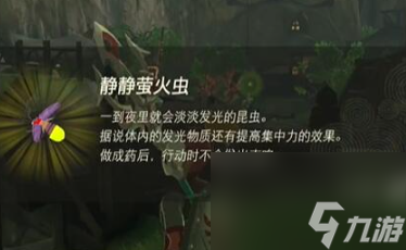 塞尔达传说王国之泪情节挑战吹笛少年寻找之物怎么过