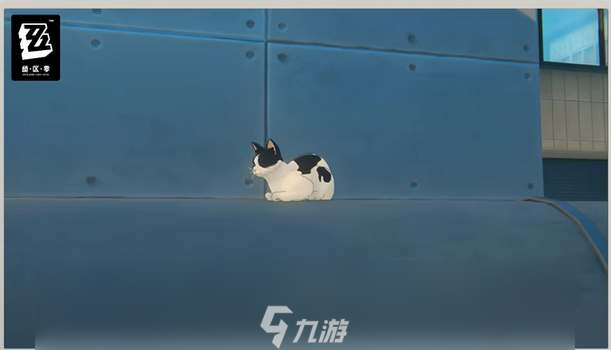绝区零奶盖猫咪位置攻略