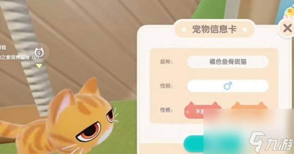 心动小镇养猫攻略