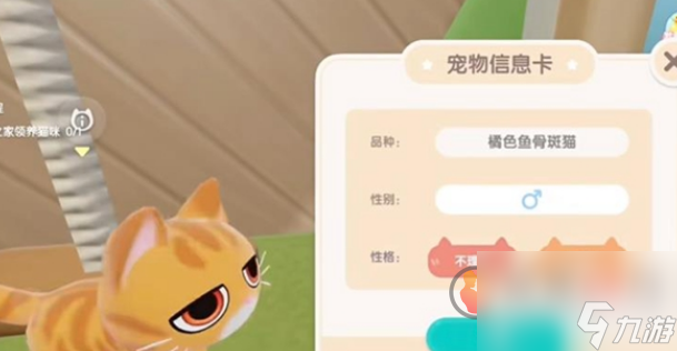 心动小镇怎么养猫 心动小镇养猫攻略