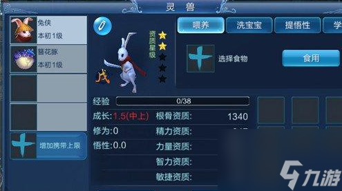 倩女幽魂灵兽洗练技巧攻略 倩女幽魂灵兽怎么洗练？