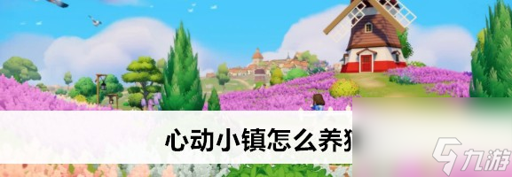 心动小镇怎样养猫
