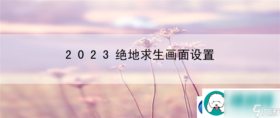 2023绝地求生画面设置：合理利用资源-提升实力