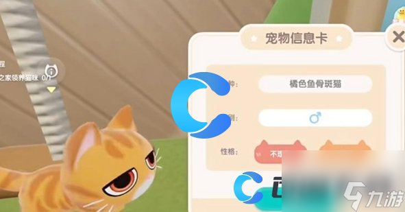 《心动小镇》养猫详细攻略