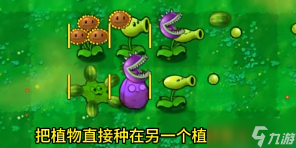 植物大戰(zhàn)僵尸嫁接版合成表