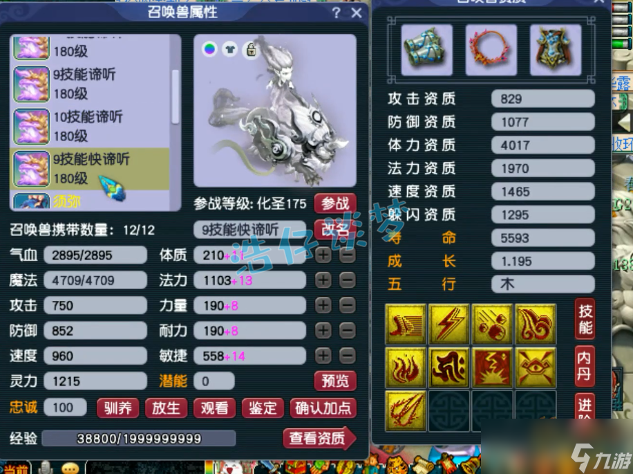 梦幻西游服战女儿村装备攻略