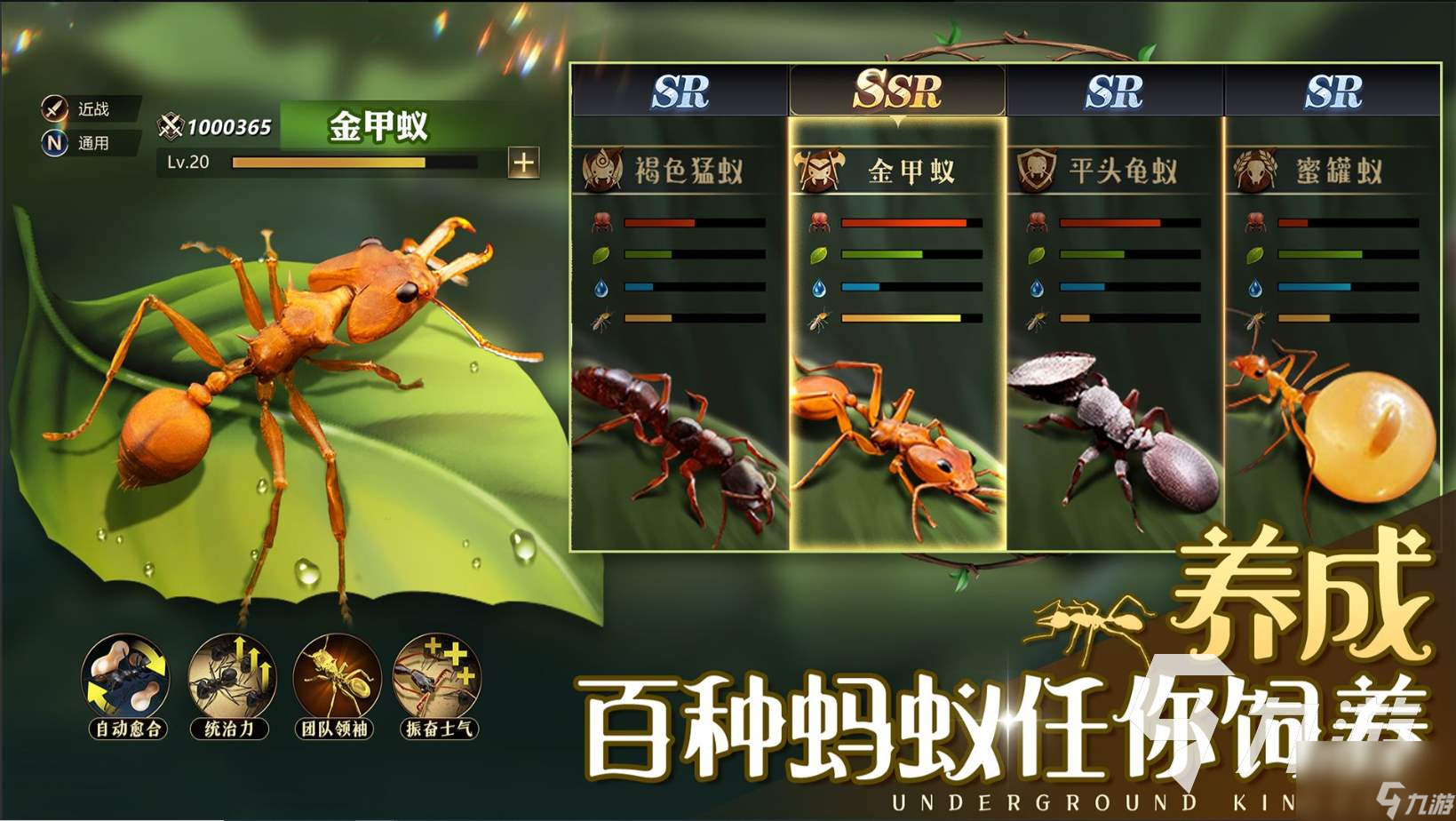 小小蚁国蚂蚁排行 小小蚁国强力蚂蚁选择推荐