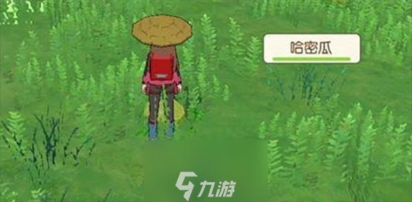 小森生活海岛采集什么好 采集物品推荐