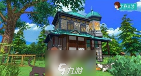 小森生活怎么养猫 领养宠物猫攻略