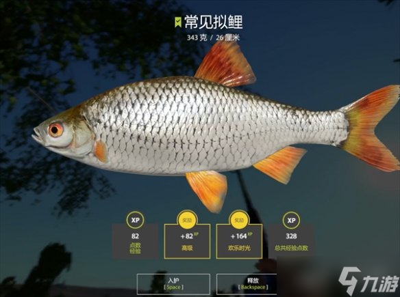 《俄罗斯钓鱼4》刷水底鱼数量说明