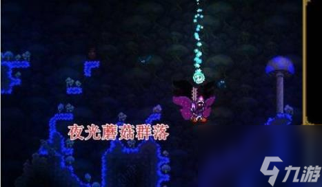 泰拉瑞亚常见问题攻略汇总