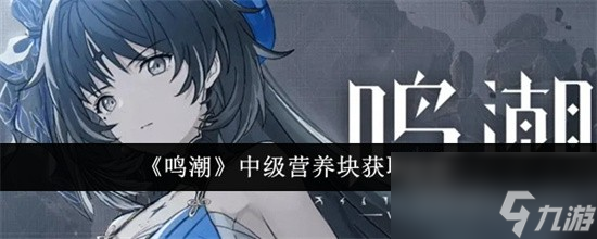 鳴潮中級(jí)營養(yǎng)塊怎么獲取 鳴潮中級(jí)營養(yǎng)塊獲取技巧
