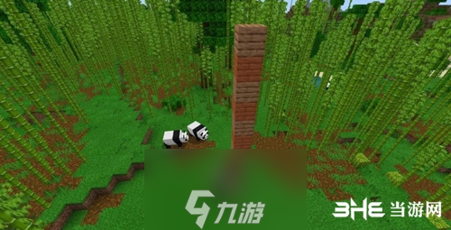 我的世界手游自動(dòng)竹子收割機(jī)怎么做 建造圖文攻略