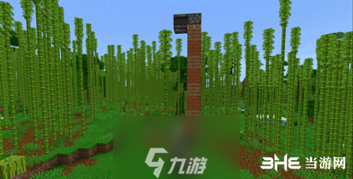 我的世界手游自動(dòng)竹子收割機(jī)怎么做 建造圖文攻略