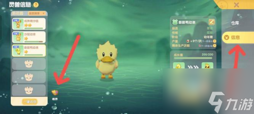 摩尔庄园灵兽喂养方法