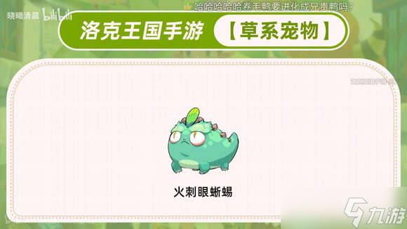 洛克王國世界寵物大全最新