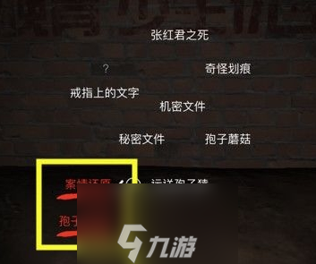 孙美琪疑案DLC张红君真相线索关联方法介绍