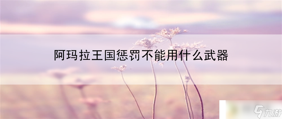 阿玛拉王国惩罚不能用什么武器：提示如何利用角色的独特属性优势