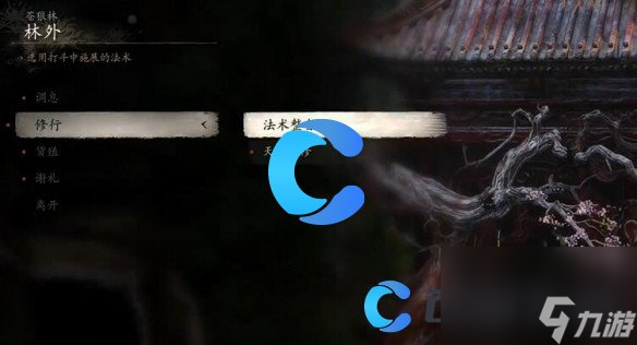 《黑神话悟空》洗点位置介绍