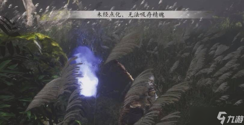 黑神话悟空为什么精魄无法点化