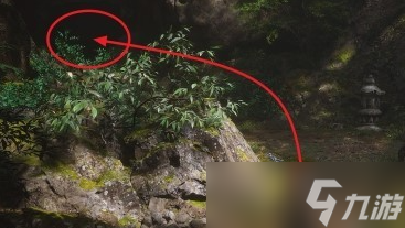 黑神话悟空黑风山苍狼林怎么玩