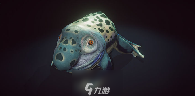 帕斯卡契约物品介绍 有哪些物品道具